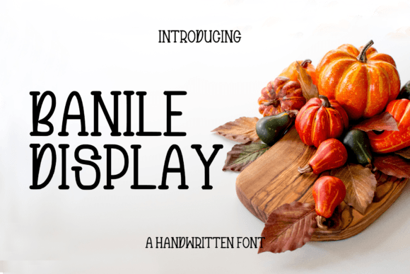 Banile: A Friendly Handwritten Display Font for Warm Editorial Moments