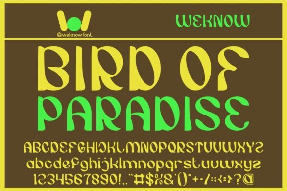 Bird of Paradise Font for Handmade Branding & Display Fonts